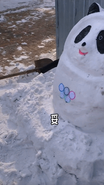 冬奥会流量话题大盘点，你都知道多少？